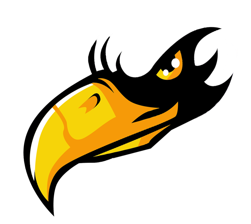 IDforVets — Alcyone Foundation for Veterans